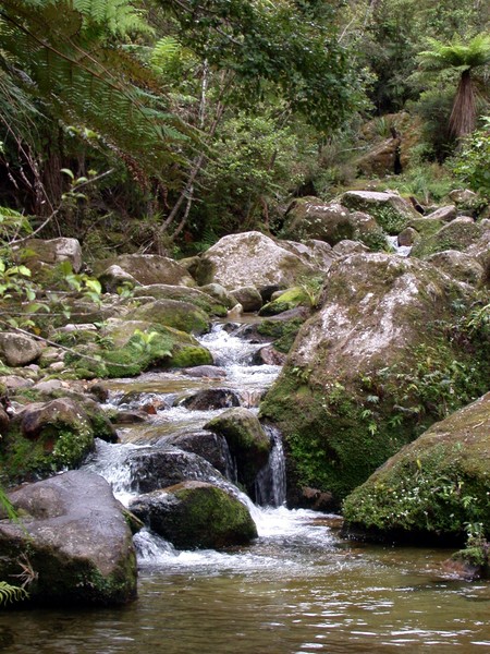 Cleopatra's Pool